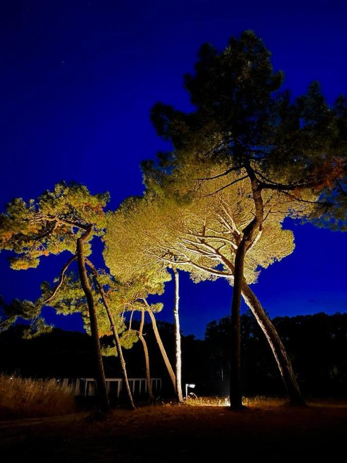 Les Salines Boyardville - Appart'Hotel Saint-Pierre-d'Oleron Exterior photo